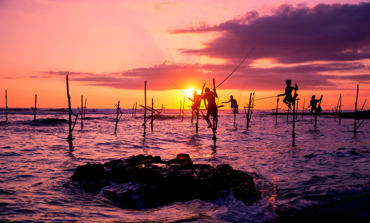Inomashi Lanka Tour - Discovering Sri Lanka with a professional guide